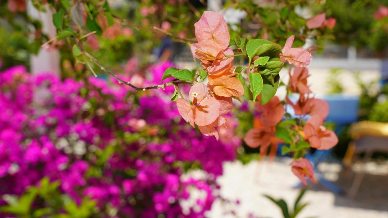 Yelken Bungalov Bed & Breakfast Milas Bagian luar foto